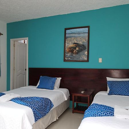 Hotel La Gran Tortuga - ᯤ Starlink Puerto Villamil Luaran gambar
